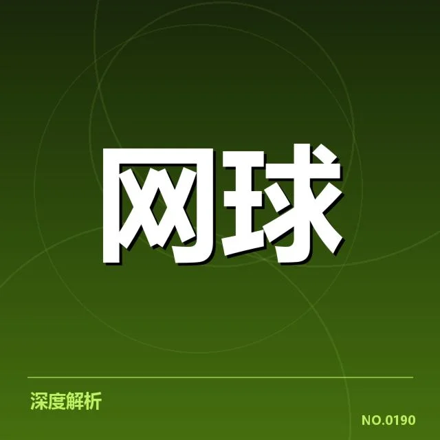李娜退役后教练生涯:实力与挑战谁能破解